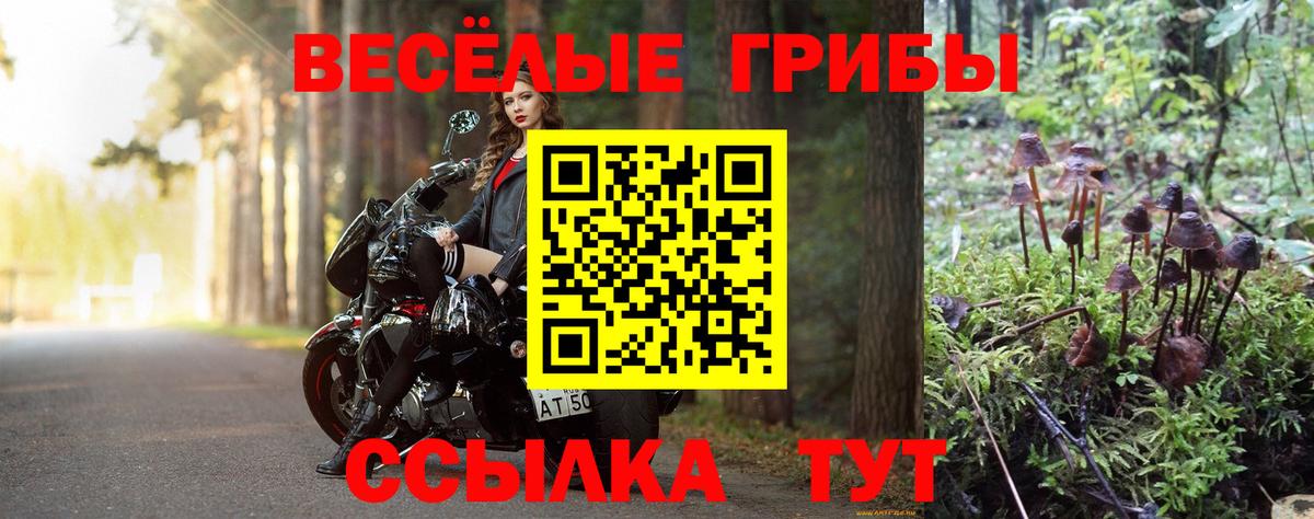 Верхний Уфалей  Галлюциногенные грибы Psilocybine cubensis  Вход с VPN  Галлюциногенные грибы MAGIC MUSHROOMS 
